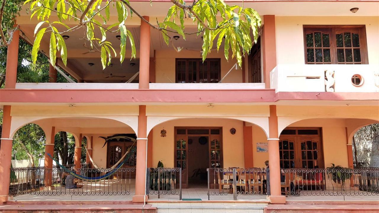 Villa Mango Hostel Puerto Escondido  Ngoại thất bức ảnh